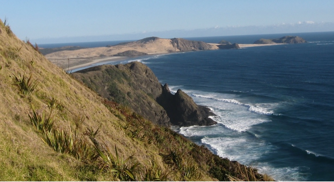 NZ BEACH